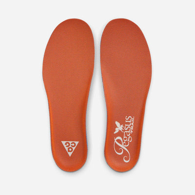 ACG Pegasus Trail HV8116 310